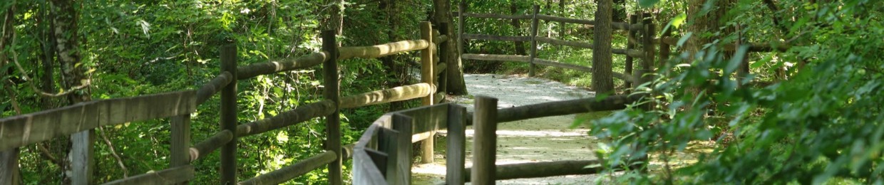 Atlanta Insight Meditation Community