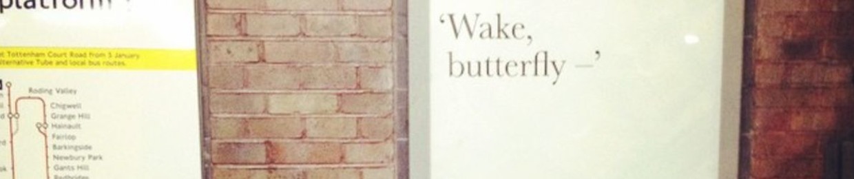 wake, butterfly