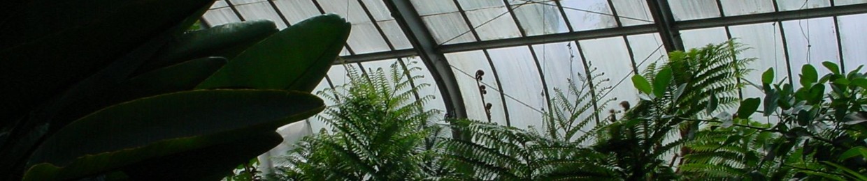 EuphoricPenguin