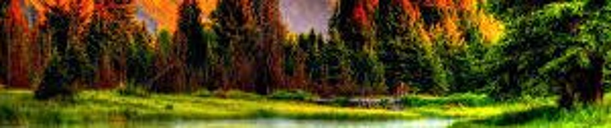 Autumn_Rays