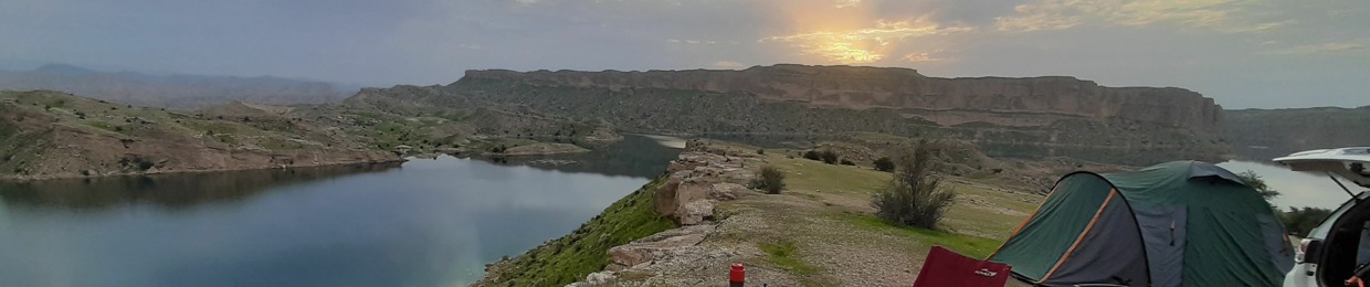 Javad Royaee