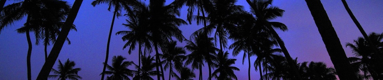 FlashTheMusicPromoter