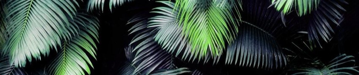 FLP Vibes