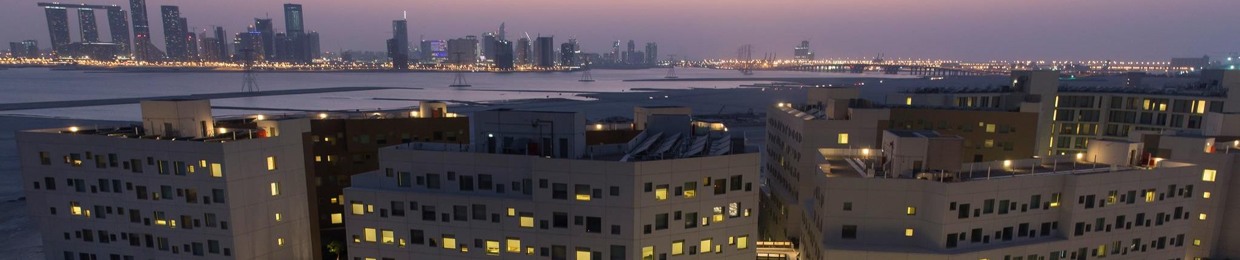 NYUAD Institute