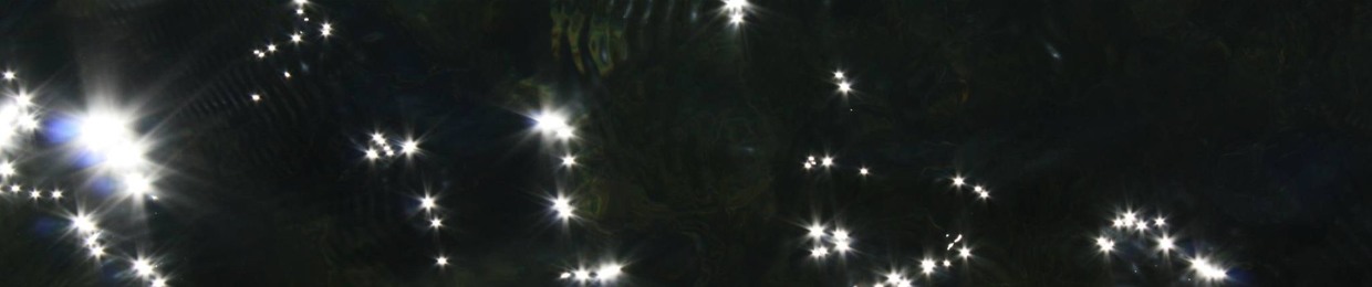 Cloud Dragon : The Joan Sutherland Dharma Works