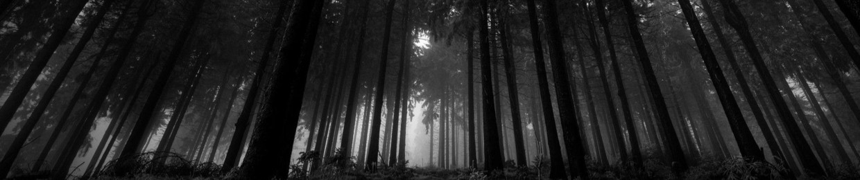 Max TK'TEK (miniteufeur)