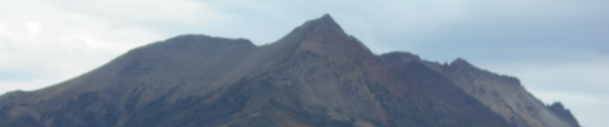 finnalin