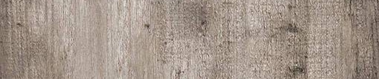 Desiré van Rijswijk