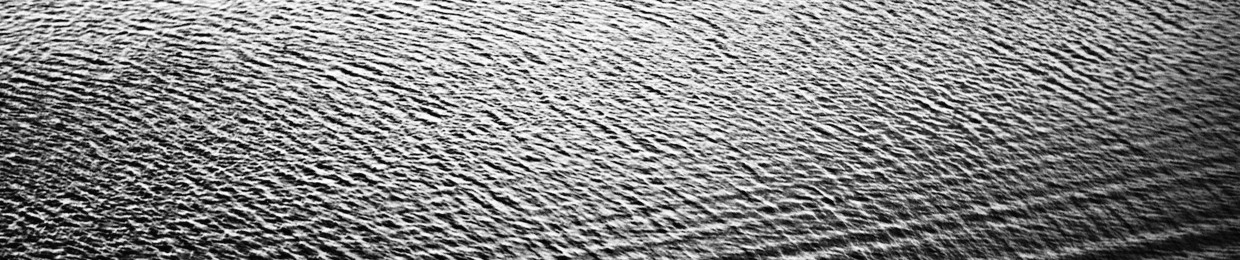 ankr.wave