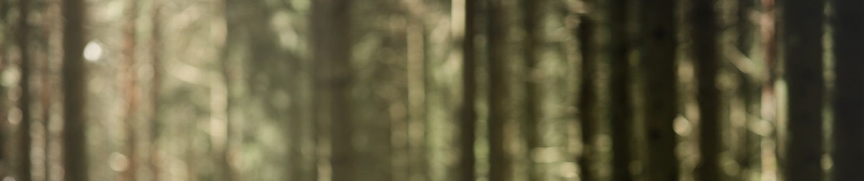 mindfulness-sörmland