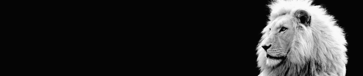 Ozmo