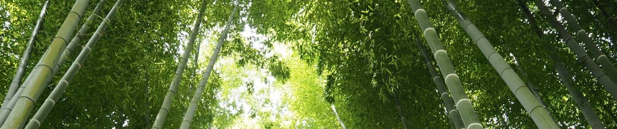 The Serena Happiness & Health Podcast