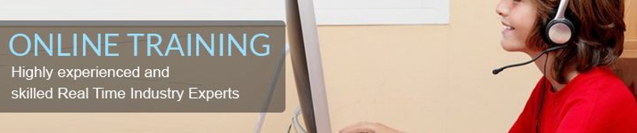 Networking Online Training
