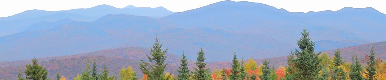 Edi Page-Gilbert ... 'Songs for the Sensitive'