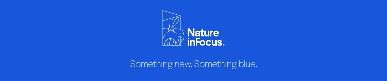 naturein_focus