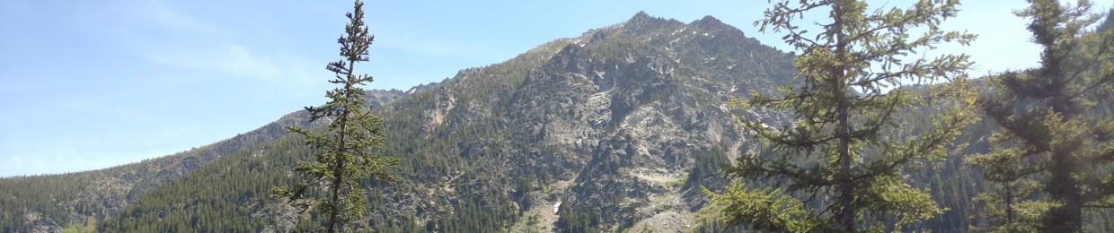 Acquainted Animation