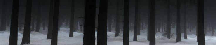 SoundCloud banner for @orgy