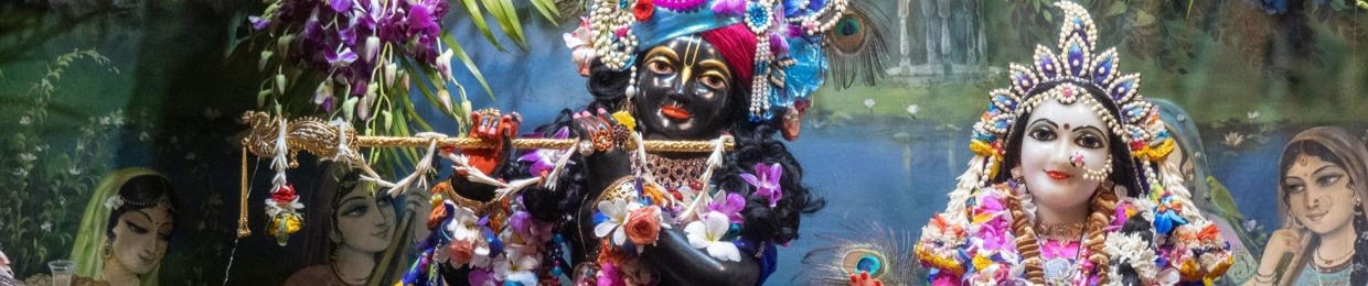 Forest Fire Kirtans