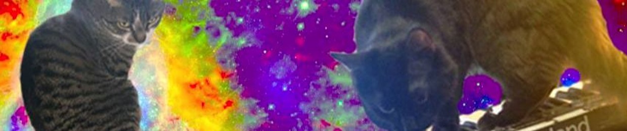 ＰＩＺＺＡ ＲＵＮＮＥＲ