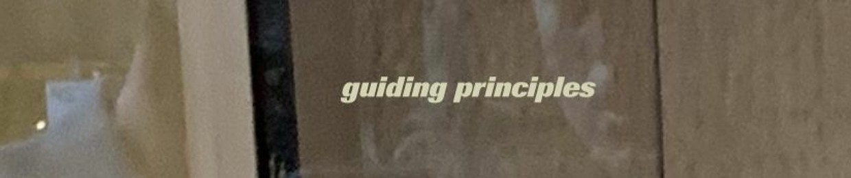 Guiding Principles