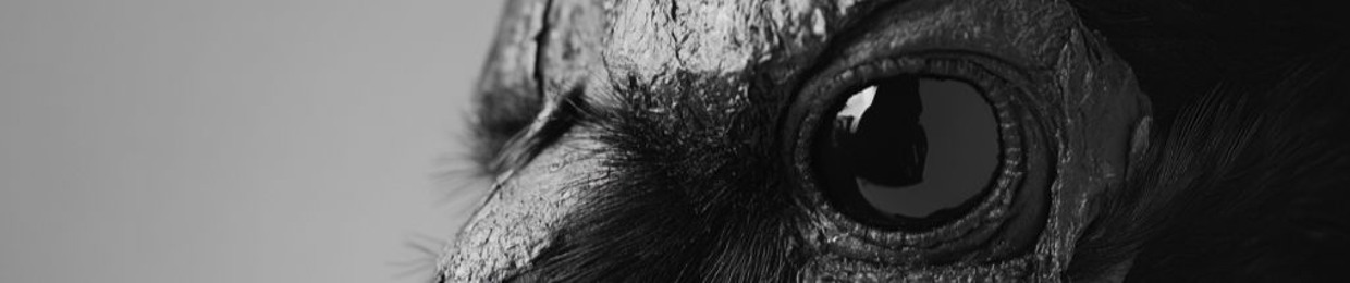 Corvus