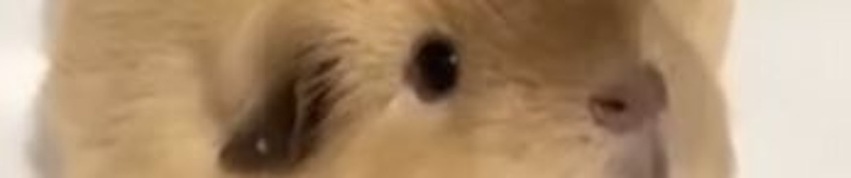 비오! 카류를 놔줘!