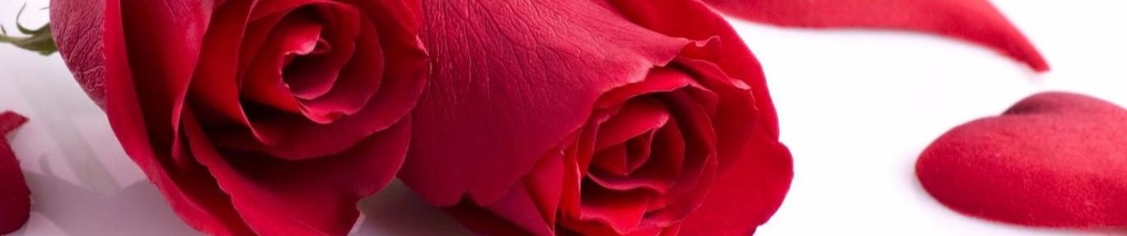 SHAHANA IBBADAT HASSAN AWAN