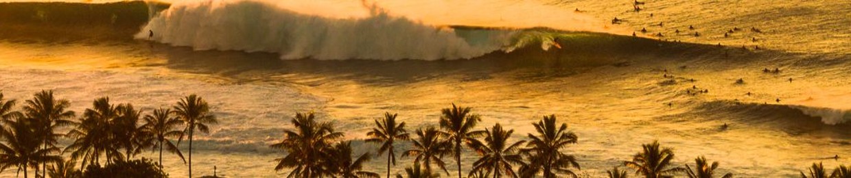 🌊 B E L Λ Ꮢ Ꭰ Ծ 🌴