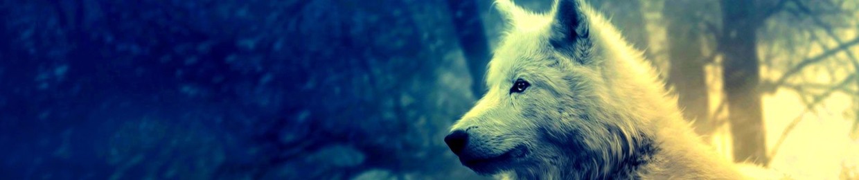 J̸̨́͢u̕a̕͘͞͝n̨̛