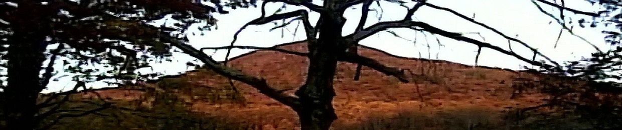 HeadInThePavementひ