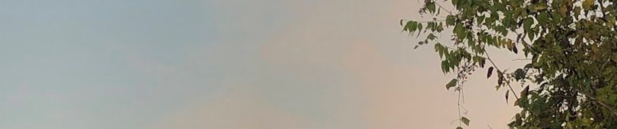 justwatchthefireworks