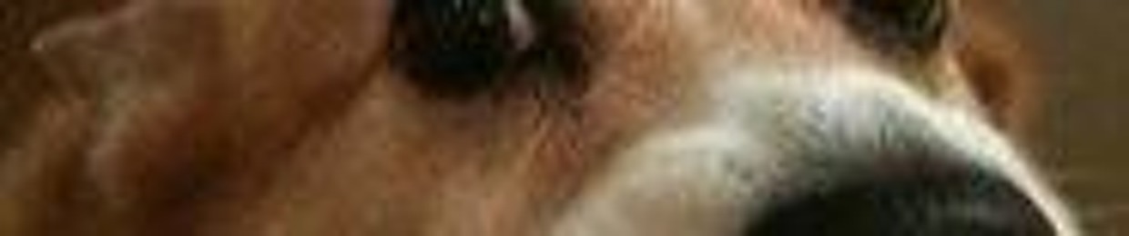 Mon
