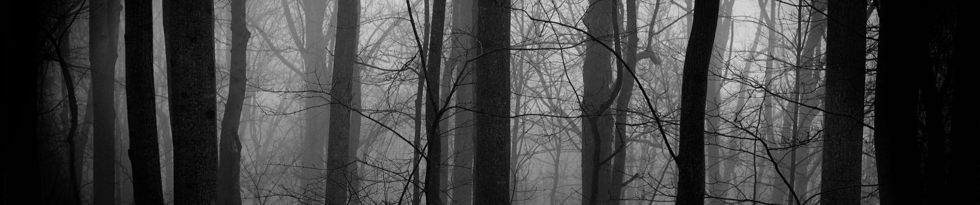 SoundCloud banner for @professions