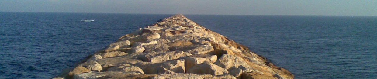 ahmed moussa