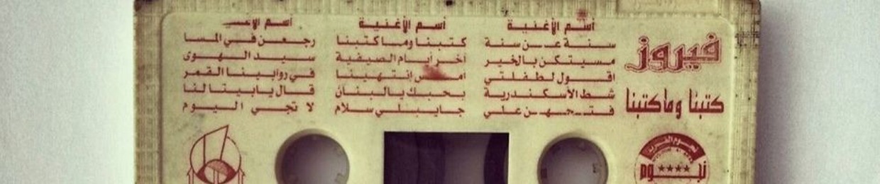 Mohamed Amir Darwish
