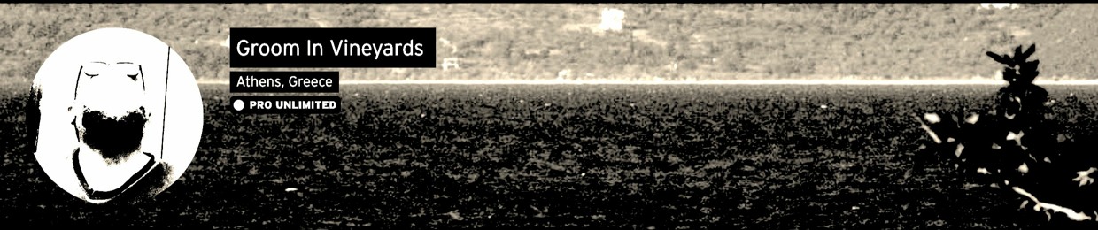 Groom In Vineyards