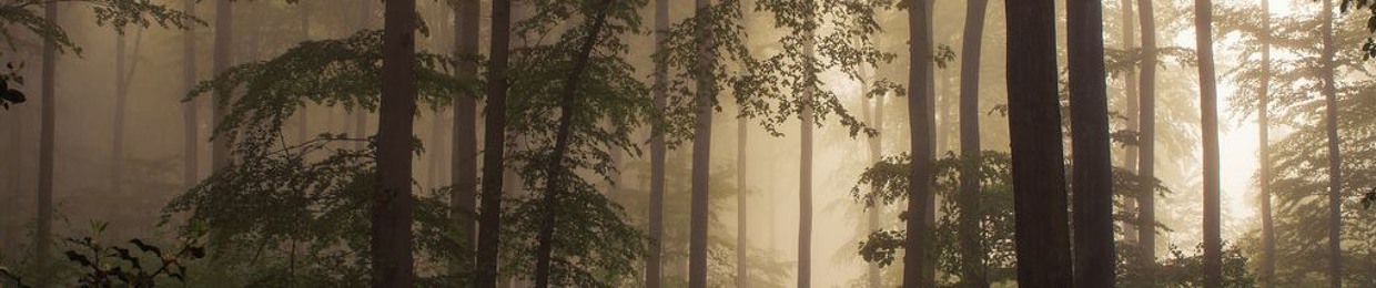 Remix The Squirrel Army