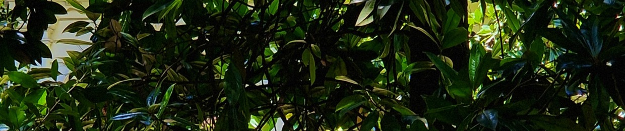 Joo-C
