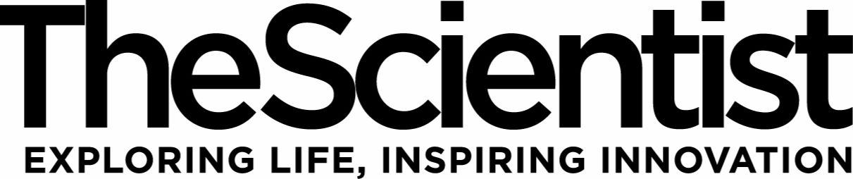 Stream The Scientist music | Listen to songs, albums, playlists for free on  SoundCloud