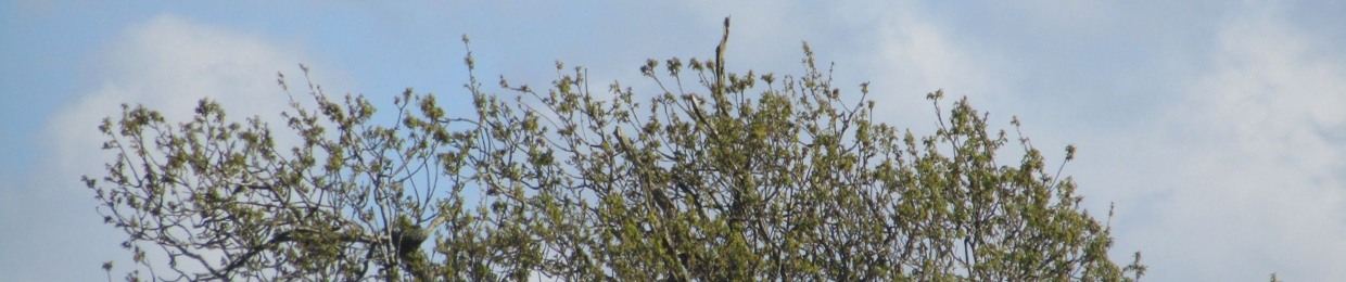 Mackk (@everythingmackk)