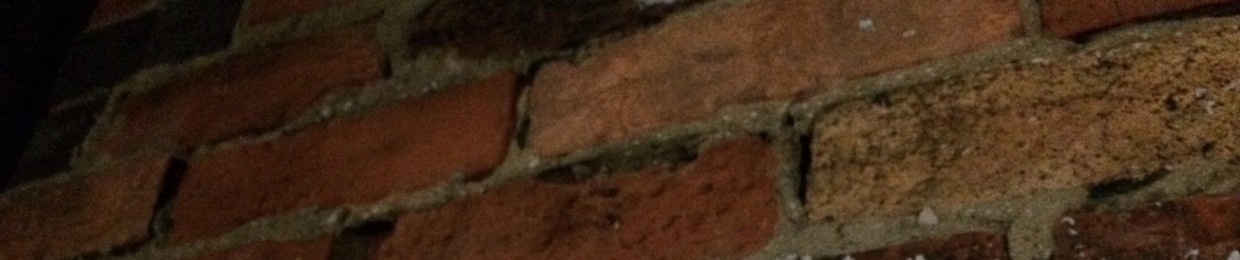 Fatal Crowbar Injury