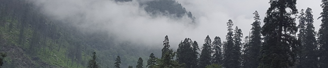 Fog the Blue
