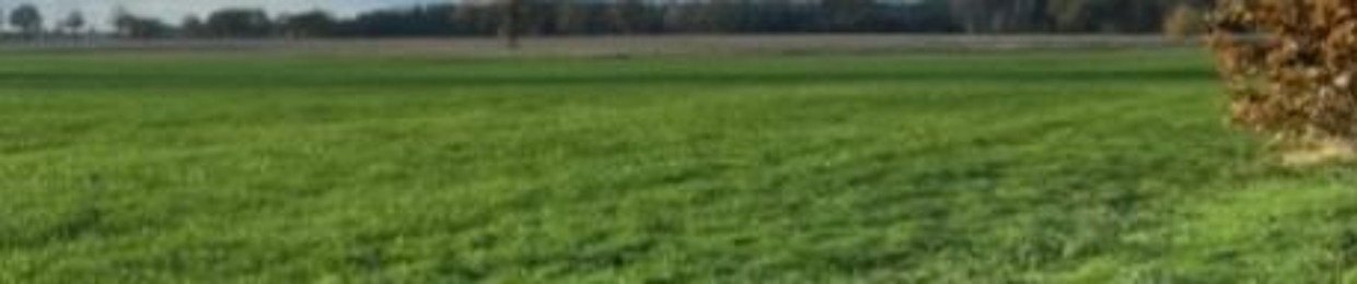 michael meyer schönherr