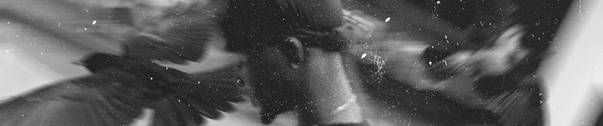 THE SET COLLECTIVE ENT.