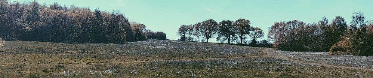 c side