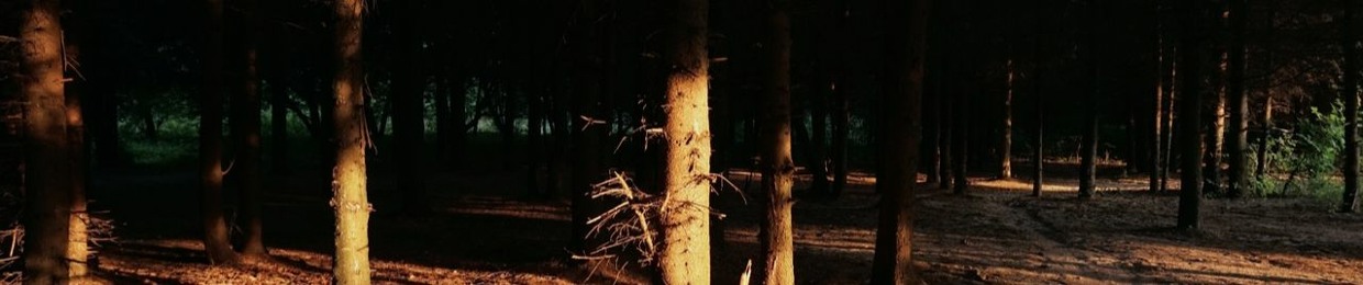 Martino D´onofrio