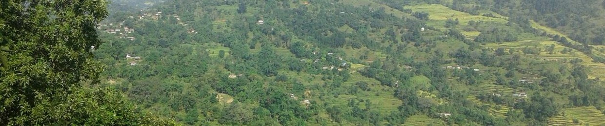 H Thapa