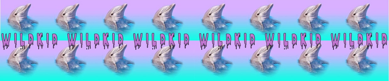 Wildkid Remixes & Mashups