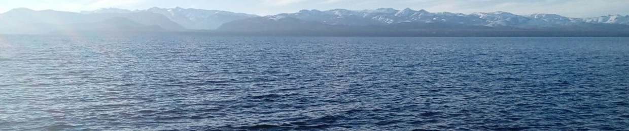 ••••MAXOR•••