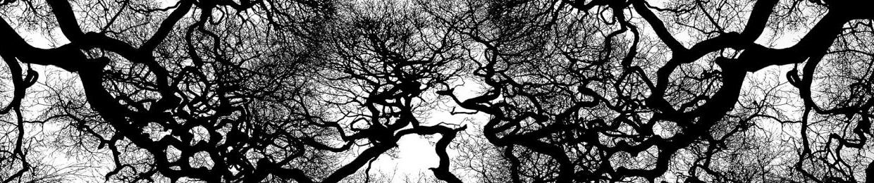 ROOT$